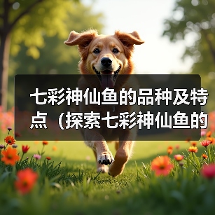 七彩神仙鱼的品种及特点（探索七彩神仙鱼的世界，了解不同品种的魅力）（图3）