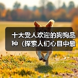 十大受人欢迎的狗狗品种（探索人们心目中最受喜爱的狗狗品种）（图4）