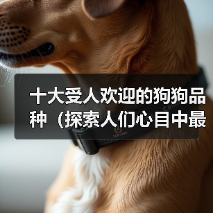 十大受人欢迎的狗狗品种（探索人们心目中最受喜爱的狗狗品种）（图1）