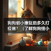 狗狗细小康复后多久打疫苗？（了解狗狗细小康复后疫苗接种时间的重要性）（图3）