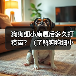 狗狗细小康复后多久打疫苗？（了解狗狗细小康复后疫苗接种时间的重要性）（图4）