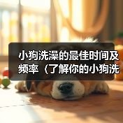 小狗洗澡的最佳时间及频率（了解你的小狗洗澡的最佳时间和频率有助于保持它的健康）（图3）