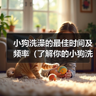 小狗洗澡的最佳时间及频率（了解你的小狗洗澡的最佳时间和频率有助于保持它的健康）（图2）