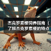 杰克罗素梗饲养指南（了解杰克罗素梗的特点与需求，打造快乐宠物生活）（图4）
