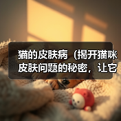 猫的皮肤病（揭开猫咪皮肤问题的秘密，让它重获健康）（图2）