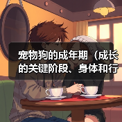 宠物狗的成年期（成长的关键阶段、身体和行为的变化）（图2）