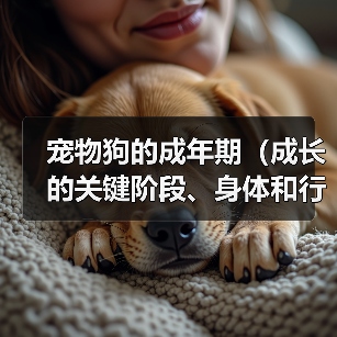 宠物狗的成年期（成长的关键阶段、身体和行为的变化）（图3）