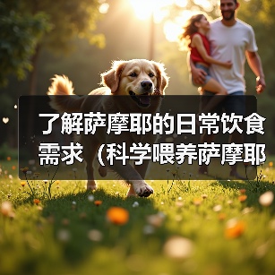 了解萨摩耶的日常饮食需求（科学喂养萨摩耶，让它健康成长）（图2）