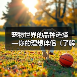 宠物世界的品种选择——你的理想伴侣（了解不同品种的宠物，找到适合自己的伙伴）（图1）