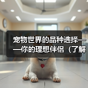 宠物世界的品种选择——你的理想伴侣（了解不同品种的宠物，找到适合自己的伙伴）（图2）