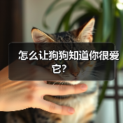 怎么让狗狗知道你很爱它？（图3）