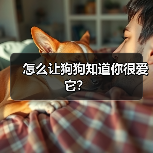 怎么让狗狗知道你很爱它？（图1）