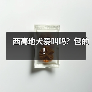 西高地犬爱叫吗？包的！（图2）