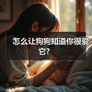 怎么让狗狗知道你很爱它？（图4）