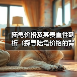 陆龟价格及其贵重性剖析（探寻陆龟价格的背后）（图1）