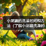 小龙猫的洗澡时间和方法（了解小龙猫洗澡的频率和正确的洗澡方法）（图2）