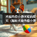 犬瘟热细小潜伏期的探究（揭秘犬瘟热细小潜伏期长短的关键因素）（图4）