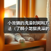 小龙猫的洗澡时间和方法（了解小龙猫洗澡的频率和正确的洗澡方法）（图1）