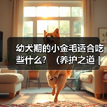 幼犬期的小金毛适合吃些什么？（养护之道｜为你的小金毛选择最佳饮食）（图2）