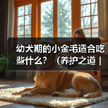 幼犬期的小金毛适合吃些什么？（养护之道｜为你的小金毛选择最佳饮食）（图4）