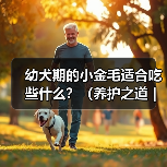 幼犬期的小金毛适合吃些什么？（养护之道｜为你的小金毛选择最佳饮食）（图1）