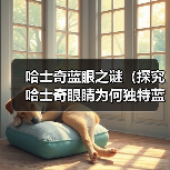 哈士奇蓝眼之谜（探究哈士奇眼睛为何独特蓝色，突变基因的关键作用）（图4）