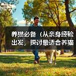 养猫必备（从亲身经验出发，探讨最适合养猫的猫砂选择）（图1）
