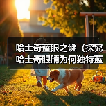 哈士奇蓝眼之谜（探究哈士奇眼睛为何独特蓝色，突变基因的关键作用）（图1）