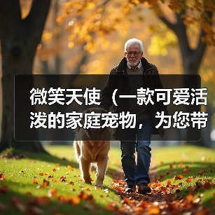 微笑天使（一款可爱活泼的家庭宠物，为您带来无尽的欢乐）（图1）