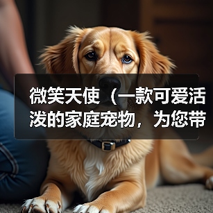 微笑天使（一款可爱活泼的家庭宠物，为您带来无尽的欢乐）（图4）