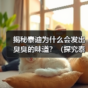 揭秘泰迪为什么会发出臭臭的味道？（探究泰迪散发异味的原因及解决方法）（图4）