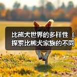 比熊犬世界的多样性（探索比熊犬家族的不同种类）（图1）