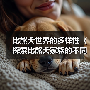 比熊犬世界的多样性（探索比熊犬家族的不同种类）（图2）