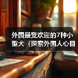 外国最受欢迎的7种小型犬（探索外国人心目中最受欢迎的小型犬，）（图3）