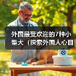 外国最受欢迎的7种小型犬（探索外国人心目中最受欢迎的小型犬，）（图1）