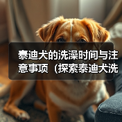 泰迪犬的洗澡时间与注意事项（探索泰迪犬洗澡的最佳时间和正确方式）（图4）
