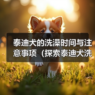 泰迪犬的洗澡时间与注意事项（探索泰迪犬洗澡的最佳时间和正确方式）（图1）