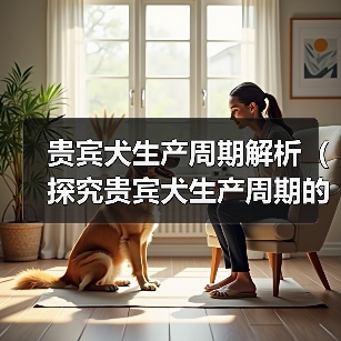 贵宾犬生产周期解析（探究贵宾犬生产周期的长短及影响因素）（图4）