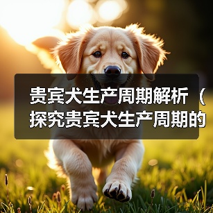 贵宾犬生产周期解析（探究贵宾犬生产周期的长短及影响因素）（图1）