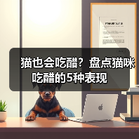 猫也会吃醋？盘点猫咪吃醋的5种表现（图2）
