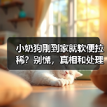 小奶狗刚到家就软便拉稀？别慌，真相和处理方法在这里！（图1）