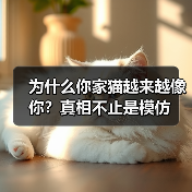 为什么你家猫越来越像你？真相不止是模仿（图2）