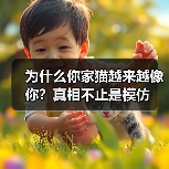 为什么你家猫越来越像你？真相不止是模仿（图3）