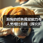 狗狗的颜色视觉能力与人类相比有限（探究狗狗的视觉世界及其颜色感知能力）（图4）