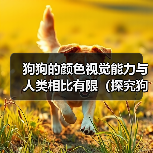狗狗的颜色视觉能力与人类相比有限（探究狗狗的视觉世界及其颜色感知能力）（图1）