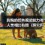 狗狗的颜色视觉能力与人类相比有限（探究狗狗的视觉世界及其颜色感知能力）（图3）