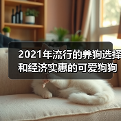 2021年流行的养狗选择和经济实惠的可爱狗狗品种（图3）