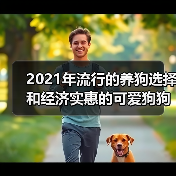 2021年流行的养狗选择和经济实惠的可爱狗狗品种（图1）