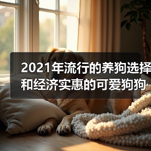 2021年流行的养狗选择和经济实惠的可爱狗狗品种（图4）