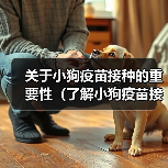 关于小狗疫苗接种的重要性（了解小狗疫苗接种计划以及接种间隔）（图1）
